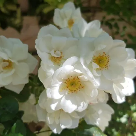 La Demeure Du Pressoir Couette-café 3*